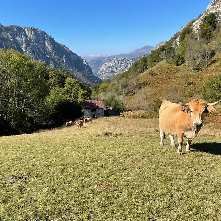 Lapaserina-A Arenas De Cabrales Exterior photo